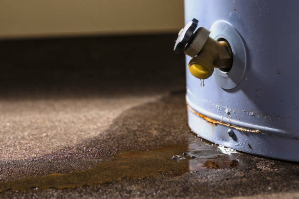 Best Flood damage cleanup  in East Valley, NV