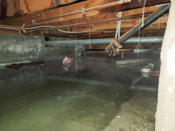 Best 24-hour water damage restoration  in East Valley, NV