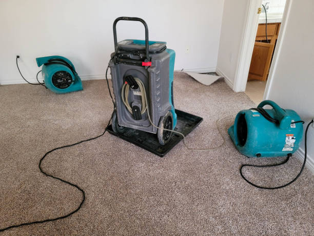 Best Flood damage cleanup  in East Valley, NV