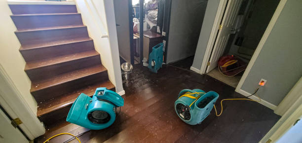 Professional Water damage restoration in NV