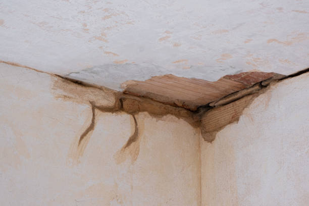 Best Fire Damage Restoration  in East Valley, NV