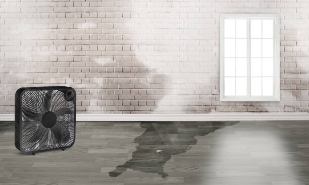 Best Water damage restoration insurance claims  in East Valley, NV