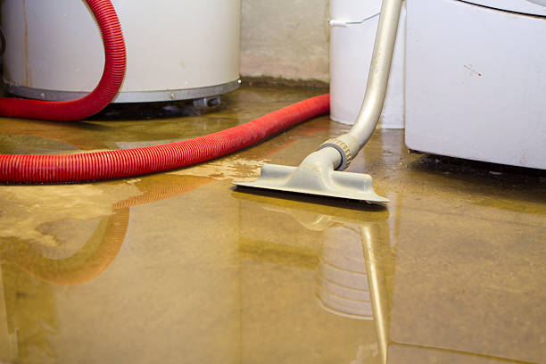 Water damage restoration mold remediation in NV