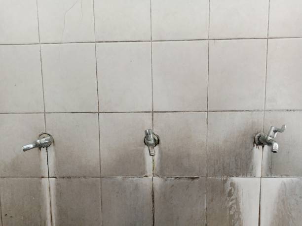 Best Basement water damage restoration  in East Valley, NV