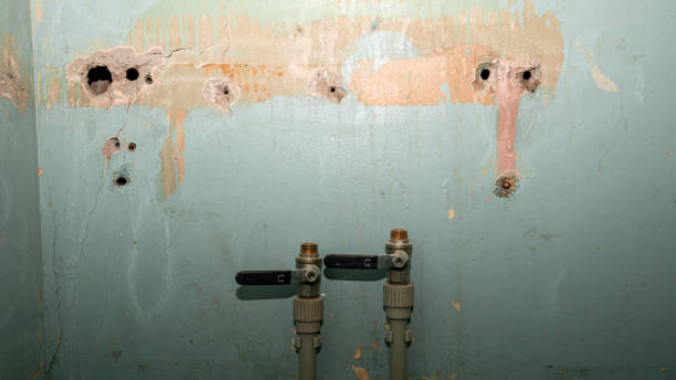 Best Mold removal after water damage  in East Valley, NV