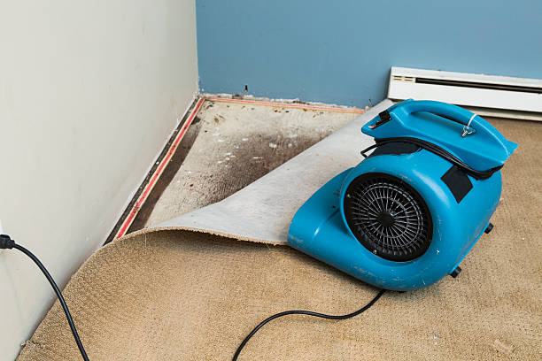 Best 24/7 water damage repair  in East Valley, NV